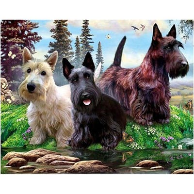 Drie Schotse Terriër 5D Diamond Mozaïek Hond DIY Diamond Borduren Kruissteek 30X40CM