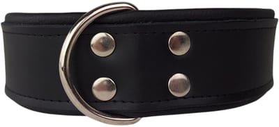 Dog's Companion - Leren hondenhalsband zwart - Leren hondenhalsband zwart