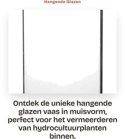 Dailygoods- Hangende Vaas - Muurhangende Plantenbak - Glazen Plantcontainer - Duurzaam Materiaal - Stijlvol Ontwerp - Voor Hydrocultuurplanten