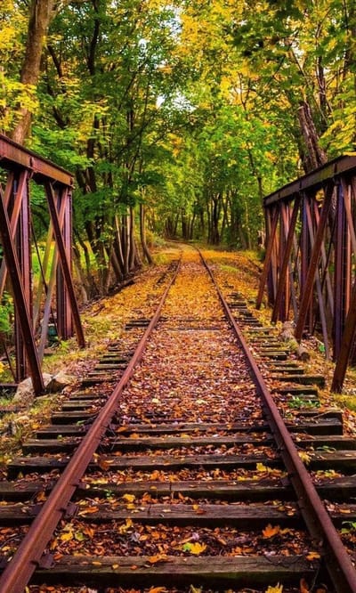 Fotobehang - Railroad 150x250cm - Vliesbehang