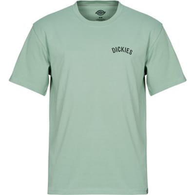 T-shirt Korte Mouw Dickies DICKIES SNAKE SS TEE
