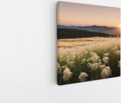 Saammp Canvas Schilderij - Landschap - Wit - Bloemenveld met zonsondergang en bergen - Natuur - 20x20 - Foto op canvas - Wanddecoratie - Muurdecoratie Woonkamer - Slaapkamer decoratie - Canvas Print