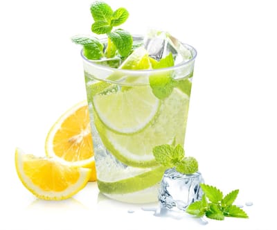 Dailygoody - Mokken - Herbruikbaar - 40 Stuks - Transparant - Perfect voor Feesten - 300 Milliliter - Geschikt voor Volwassenen - Picknick