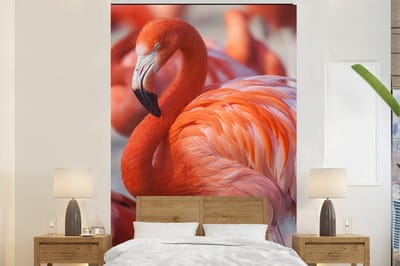 Behang - Fotobehang Flamingo - Vogel - Dieren - Roze - Breedte 170 cm x hoogte 260 cm