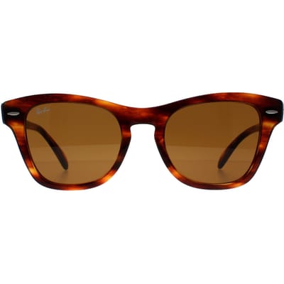 Ray-Ban RB0707S 954/33 gestreepte zonnebril havana bruin