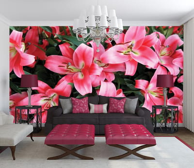 Poster | Roze | 104 x 70,5 cm