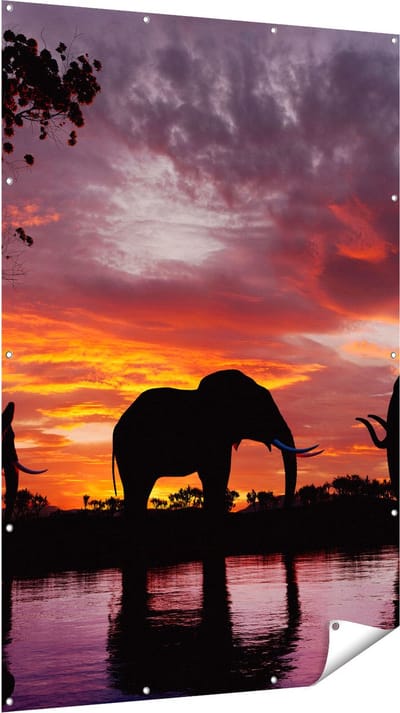Gards Tuinposter Olifanten tijdens Zonsondergang - Silhouet - 120x180 cm - Tuindoek - Tuindecoratie - Wanddecoratie buiten - Tuinschilderij