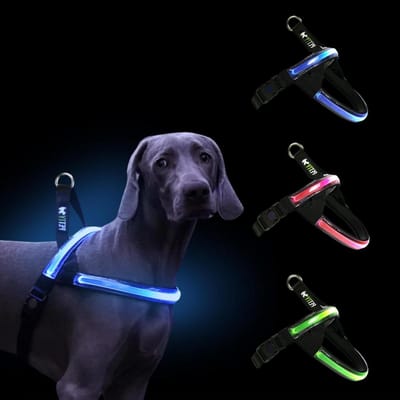Honden LED Harnas - Veiligheidsharnas - Zichtbaar zijn - Oplaadbaar via USB-C - XL - Groen