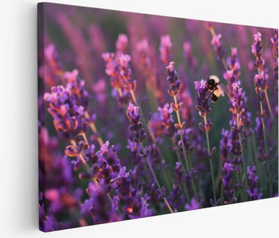 Saammp Muurcirkel Hout - Kleurrijke Bloemen Kunstwerk - Natuur - Abstract - Ø 90 - Wandcirkel - Wanddecoratie Cirkel - Muurdecoratie Woonkamer - Woonkamer Decoratie