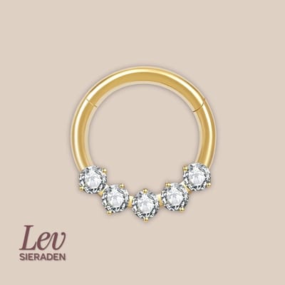 Lev Sieraden - Titanium premium neus ring - 5 zirkonia segment ring - 1.2x8mm - Goud - segment ring - neuspiercing - tragus piercing - Oorpiercing