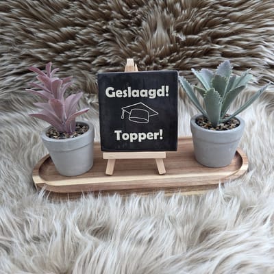 Robuust Wenstegeltje Geslaagd! Topper! – Cadeau voor Geslaagde – Decoratief Aandenken – Met Tekst en Afbeelding – Wenstegeltje – Trendy nu – Decoratief Tegeltje met Standaard – Cadeau Idee
