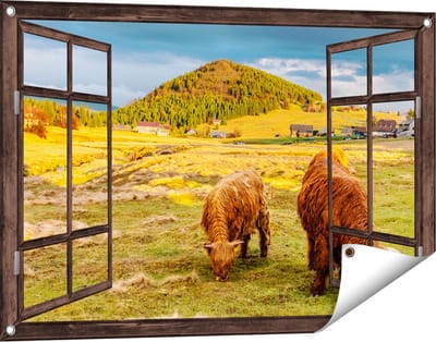 Gards Tuinposter Doorkijk Twee Schotse Hooglanders bij een Dorp - 90x60 cm - Tuindoek - Tuindecoratie - Wanddecoratie buiten - Tuinschilderij