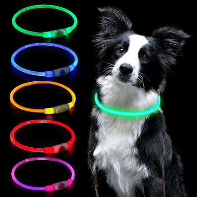 LED Verlicht Hondenhalsband, Oplaadbaar via USB, Verstelbare en Waterdichte Veiligheidshalsband voor Honden en Katten, 3 Verlichtingsmodi (Groen)