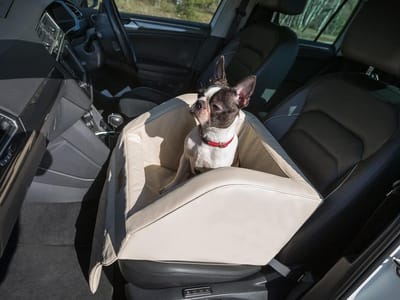 Hondenautostoel - Reismand Hond Kat - Veilig Reizen Auto - Verstevigde Dikke Wanden - 46 x 46 x 34 cm