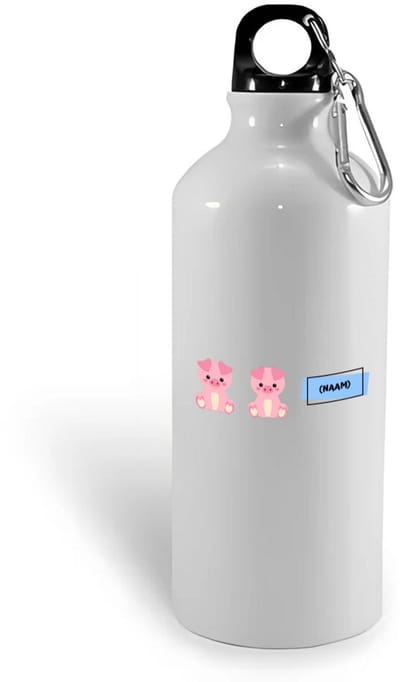 Hacebo® - Varkens met eigen naam waterfles - Varken - dieren liefhebbers - leuke cadeau voor iemand die van houdt van biggen - verjaardagscadeau - kado - gift - water fles - 400ML