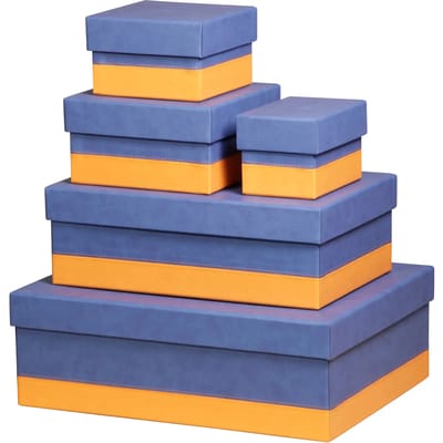 Italian faux leather nestende boxen Rhodia Rhodiarama (x5)