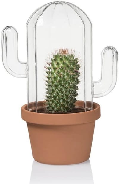 Glazen cactus terrarium - Bitten Design
