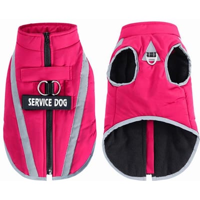 Warme Fleece Hondenkleding Gepersonaliseerde Waterdichte Winterkleding voor Kleine Middelgrote Grote Honden Huisdierkleding Jassen Hondenaccessoires S