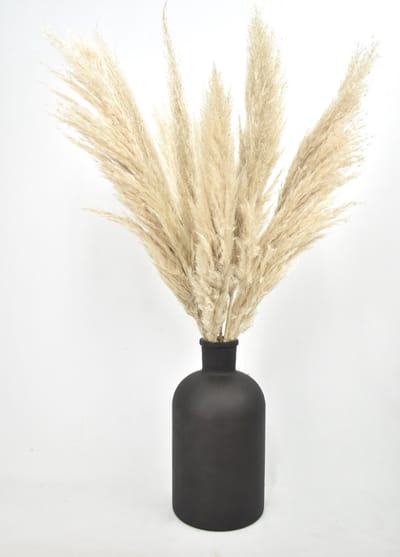 Pampas Pluimen Fluffy - 10 stuks - 75 cm - Droogbloemen - Natuurlijk Bloemen