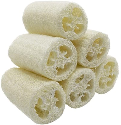 Dailygoods- Luffa Spons - 6 Stuks - Natuurlijke Spa-Scrubber - Dode Huid Verwijdering - Keuken Reinigingsmiddel - Ca. 10 Cm - Verlengde Levensduur - Badstofspons