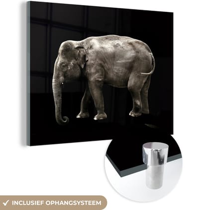 MuchoWow® Glasschilderij 160x120 cm - Schilderij acrylglas - Olifant - Wilde dieren - Zwart - Foto op glas - Schilderijen