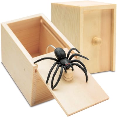 Ynkkvre - Nep Spin in Doos – Grapjes Pakket met Realistische Rubberen Spin – Onschuldige Schrik Doos – Humoristisch Cadeau-idee voor Kinderen en Volwassenen – Verrassende Nep Insect Grap