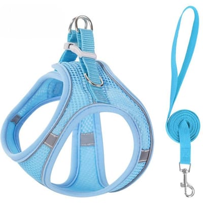 Katten Harnas Vest Borsttouw Set Met 1.5M Touw Reflecterend Ademend Verstelbaar Huisdier Harnas Voor Kleine Middelgrote Hond Buiten Wandelen (Blue,L 9-10kg) blauw
