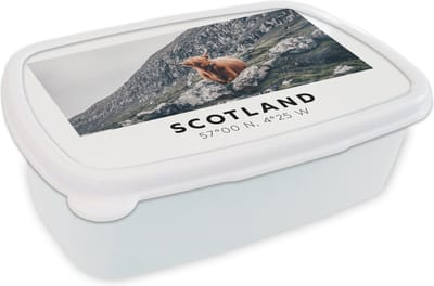 Broodtrommel Wit - Lunchbox - Brooddoos - Schotland - Schotse Hooglander - Bergen - Dieren - 18x12x6 cm - Volwassenen