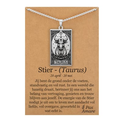 Sterrenbeeld Stier (Taurus) Ketting op Cadeau Kaartje Zilverkleurig - Zodiac in de stijl van Rider-Waite Tarot - Roestvrij Staal / Stainless Steel - 60cm - Pax Amare