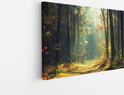 Saammp Canvas Schilderij - Botanisch - Bos - Herfstachtig - Landschap - Natuur - 45x30 - Foto op canvas - Wanddecoratie - Muurdecoratie Woonkamer - Slaapkamer decoratie - Canvas Print