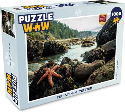 Puzzel Zee - Stenen - Zeester - Legpuzzel - Puzzel 1000 stukjes volwassenen