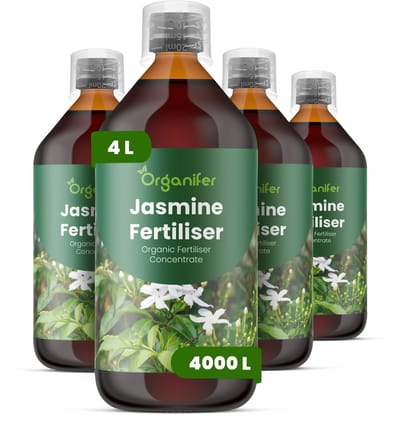 Vloeibare Meststof Voor Jasmine 4X1 L Voor 4000 L - Npk 2-1-8 - Overvloedige - Geurende Bloei Bij Alle - Jasmijnsoorten - Rankgroei - Vertakking - Structurele Stabiliteit - Glanzend Blad - Intense Kleur - Siergroei - Organifer