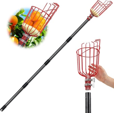 Fruitplukker - Fruitdief - Fruit Oogsten - Telescoopsteel - 8FT - null