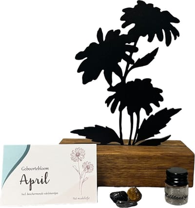 Babyshower cadeau- geboortebloem beeld- April- Madeliefje - mét tandendoosje / potje / haarlokpotje en beschermende edelsteentjes - metaal in houten sokkel - geboorte cadeau