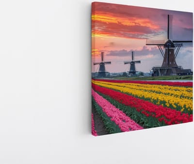 Saammp Canvas Schilderij - Kleurrijk Tulpenveld Met Molens - Natuur - Landschap - 20x20 - Foto op canvas - Wanddecoratie - Muurdecoratie Woonkamer - Slaapkamer decoratie - Canvas Print