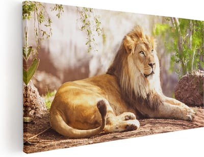 Artaza Canvas Schilderij Leeuw - 40x20 cm - Klein - Wanddecoratie Dieren - Muurdecoratie Woonkamer - Schilderijen Op Canvas