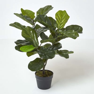 Homescapes Kunstplant Vioolbladplant (Ficus lyrata) in Pot – 70 cm – Groen – UV-bestendig