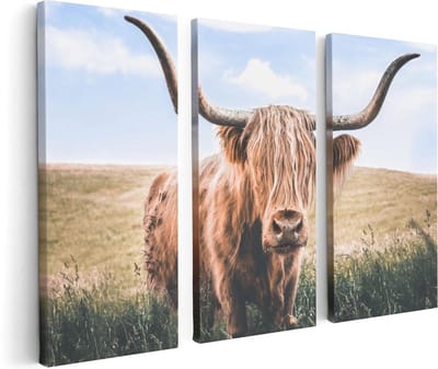 Artaza Canvas Schilderij Drieluik Schotse Hooglander Koe In De Wei - 120x80 - Foto Op Canvas - Canvas Print