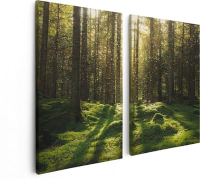 Artaza Canvas Schilderij Tweeluik Bos met Groen Mos op de Grond - 80x60 - Foto Op Canvas - Canvas Print