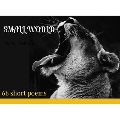 Small World - Pieter Nelletje