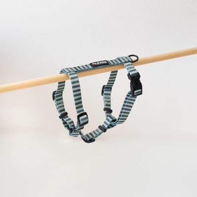 Pip & Palms - Hondentuig Stripy Stripes - Groen - Maat XS - Verstelbaar - Hondentuigje - Y Tuig Hond - voor Kleine honden