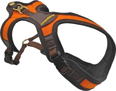 Niggeloh Follow LIGHT – Lichtgewicht Hondentuig / Hondenharnas voor Kleine en Middelgrote Honden Oranje XS