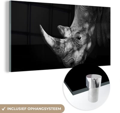 MuchoWow® Glasschilderij 40x20 cm - Schilderij acrylglas - Neushoorn - Dier - Licht - Foto op glas - Schilderijen