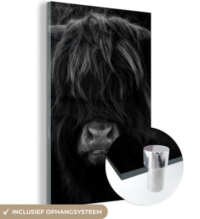 MuchoWow® Glasschilderij 120x180 cm - Schilderij acrylglas - Schotse Hooglander - Koe - Zwart - Wit - Portret - Foto op glas - Schilderijen