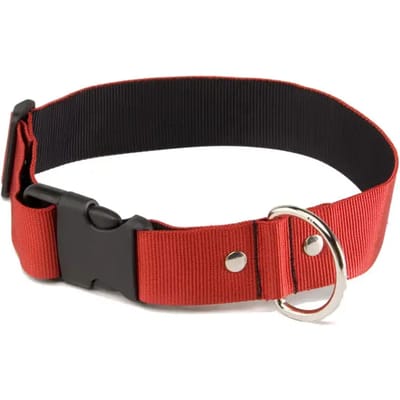 Hondenhalsband Martin Sellier L