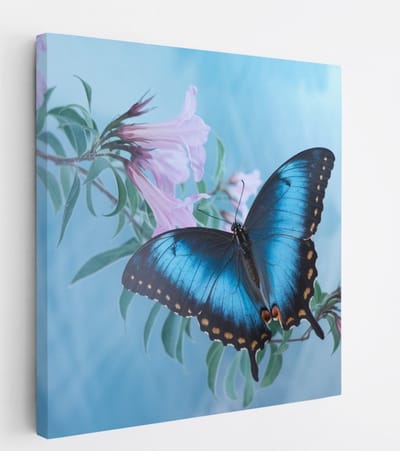 Saammp Canvas Schilderij - Vlinder op roze bloem - Abstract - Dieren - Natuur - 20x20 - Foto op canvas - Wanddecoratie - muurdecoratie Woonkamer - Slaapkamer decoratie - Canvas Print
