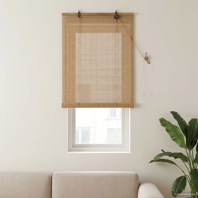 vidaXL - Rolgordijn - Bruin - 40 - x - 160 - cm - Bamboe