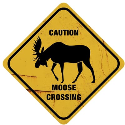 Signs USA - retro wandbord - dibond - Xing Moose - 35 x 35 cm