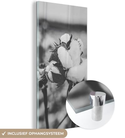 MuchoWow® Glasschilderij 20x40 cm - Schilderij acrylglas - Katoen - Planten - Zwart - Wit - Foto op glas - Schilderijen