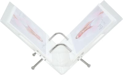 Deknudt Frames fotoklapper S58RS7 - transparant - 12 mapjes - 24 foto's